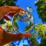 Kemmy Kemmy Profile Picture