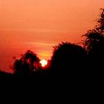 Twinamastiko Racheal Profile Picture