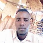 Wario Halake Profile Picture