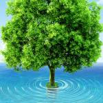 MUTISYA MUTUNGI Profile Picture