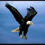 Kiza Lumona Profile Picture