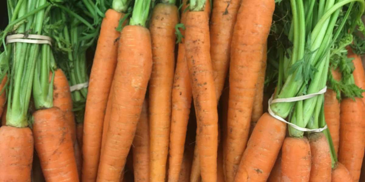 What is Carrot?
