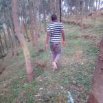 Pascal Mutuyi Profile Picture