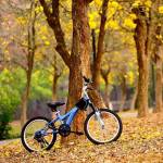 Telaviv Oz Profile Picture