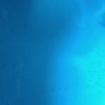 Hesbon Osano Profile Picture