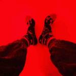 Anthony Jacoast Profile Picture