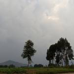 Ulimuengu Juanini Profile Picture