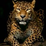 Marwa Albert Profile Picture