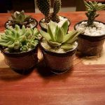 Sharon Jeruto Profile Picture