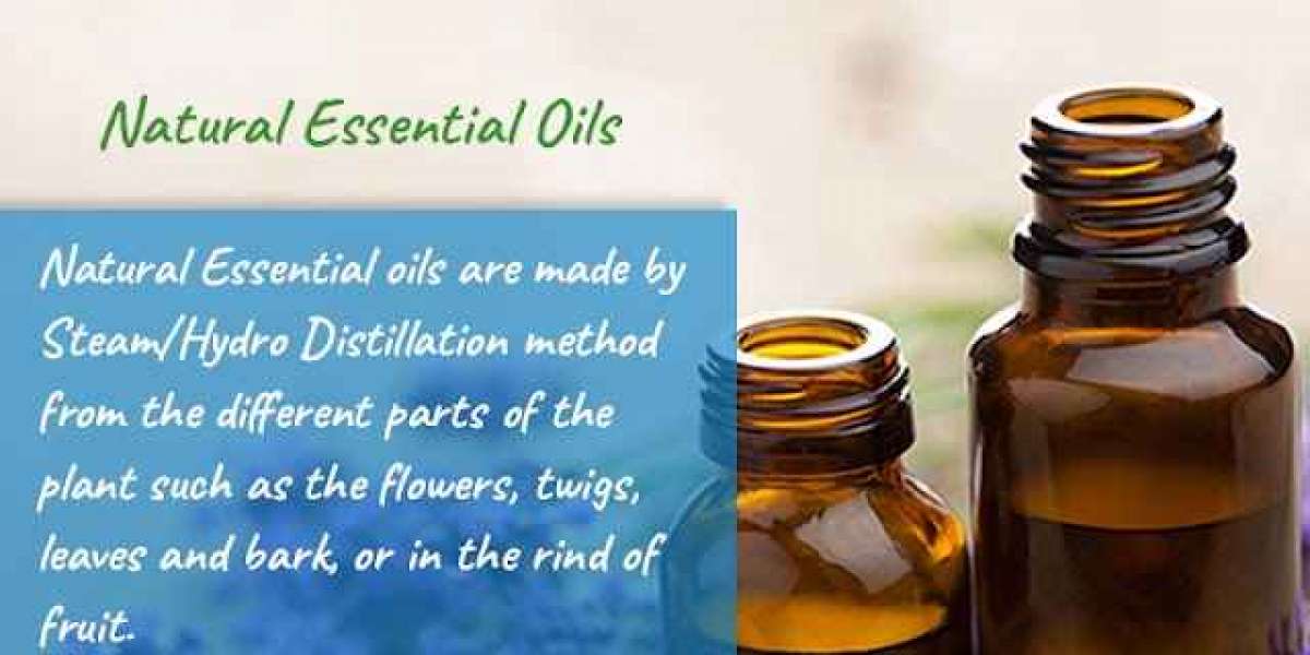 Essential Oils Manufacturers from India | Natura Vitalis