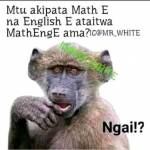 Zaituni Kakai Profile Picture