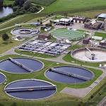 Harun Kym Profile Picture