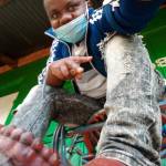 Kennedy Munyua Profile Picture