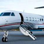 Morris Warrior Profile Picture