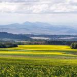 Vin Muriuki Profile Picture