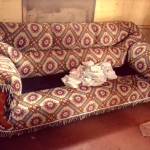 Pharis Ngunjiri Profile Picture