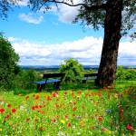 Nelson Toroitich Profile Picture