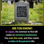 Katy Mercy Profile Picture