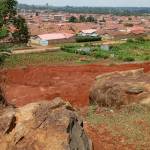 Eric Kipleting Profile Picture