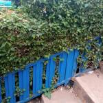 Habimana Djabarardine Profile Picture