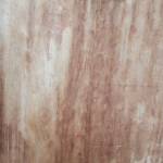 Stanley Ngui Profile Picture