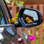 Ezra Mutai Profile Picture