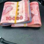 Clayvany Lema Profile Picture