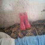 Lynn Lagat Profile Picture