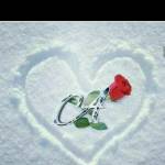 Sikander Ch Profile Picture