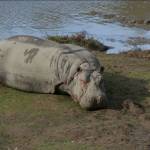 Bildad Karumba Profile Picture