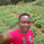 Kelvin Mutugi Profile Picture