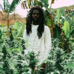 Michael Bosire Profile Picture