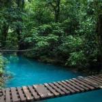 jacky Slay Profile Picture