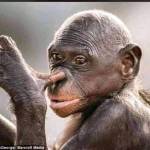 Lukasz Nyakwar Nyajohn Profile Picture
