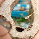 Albert Muia Profile Picture