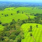 kipruto vincent Profile Picture