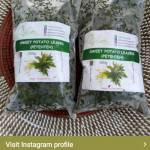 KahonzI Shutu Profile Picture