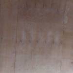 Sheillah Anduvate Profile Picture