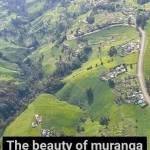 Jaymo Mwash Profile Picture