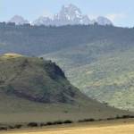 Ken Volt Profile Picture