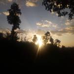 george makori Profile Picture