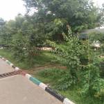 Bernard Rotich Profile Picture