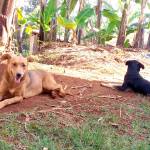 martinmunene mbae Profile Picture