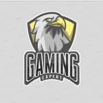 Anand Teli Profile Picture