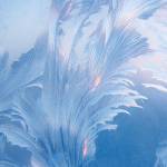 Vic Mane Profile Picture