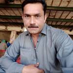 Zahid Ali Profile Picture