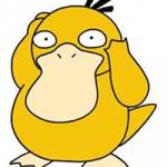 eleonora vicci Profile Picture