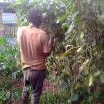 Ssebaggala robert Profile Picture