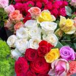 Hot Ice Profile Picture