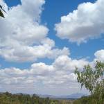 Moses Ochieng Profile Picture